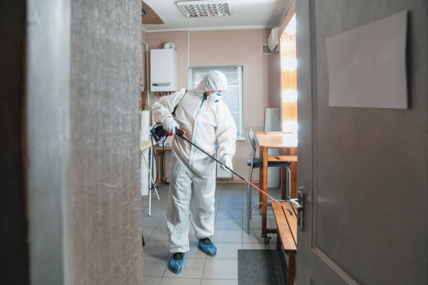 Best Mold Remediation for Vacation Homes  in Cheyenne, WY